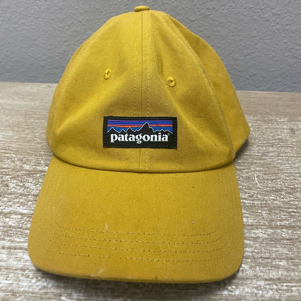 Patagonia hat